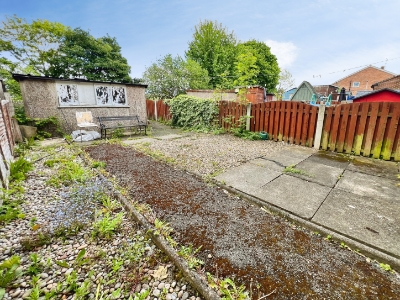 Picture 21